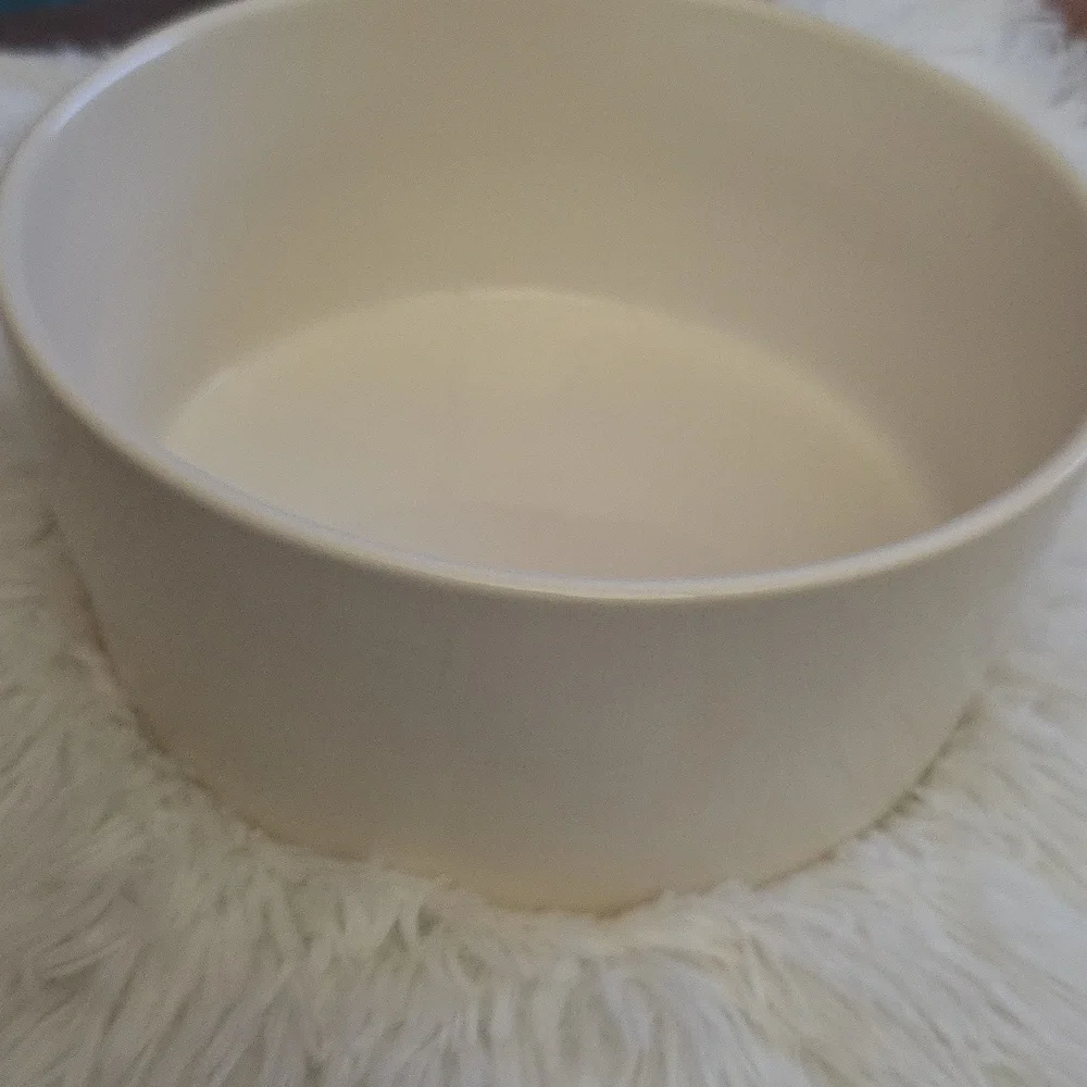 NWOT Rae Dunn Chow Down Ceramic Pet Bowl